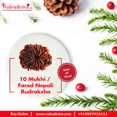 10 Faced Natural Nepali Rudraksha Beads collector